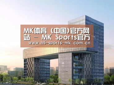 案例展示四