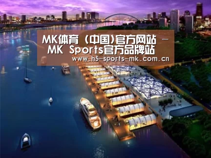 案例展示八