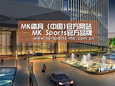 案例展示二