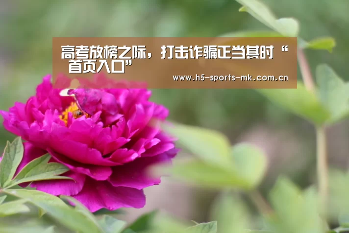 高考放榜之际,打击诈骗正当其时“ 首页入口”(图1) MK体育