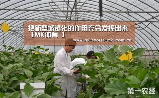MK体育 