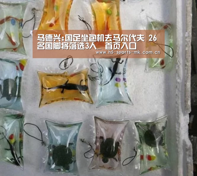  首页入口