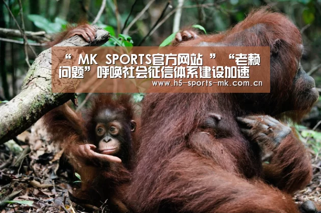 “ MK SPORTS官方网站 ”“老赖问题”呼唤社会征信体系建设加速(图2) MK SPORTS官方网站